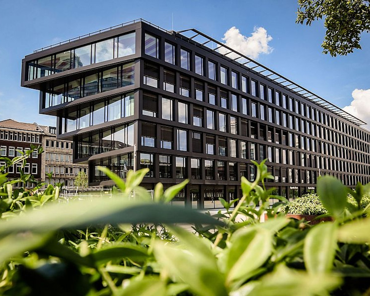 Modernes Bürogebäude mit großen Glasfenstern, fotografiert aus einem niedrigen Blickwinkel hinter grünen Blattpflanzen, unter blauem Himmel mit vereinzelten Wolken.