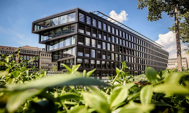 Modernes Bürogebäude mit großen Glasfenstern, fotografiert aus einem niedrigen Blickwinkel hinter grünen Blattpflanzen, unter blauem Himmel mit vereinzelten Wolken.