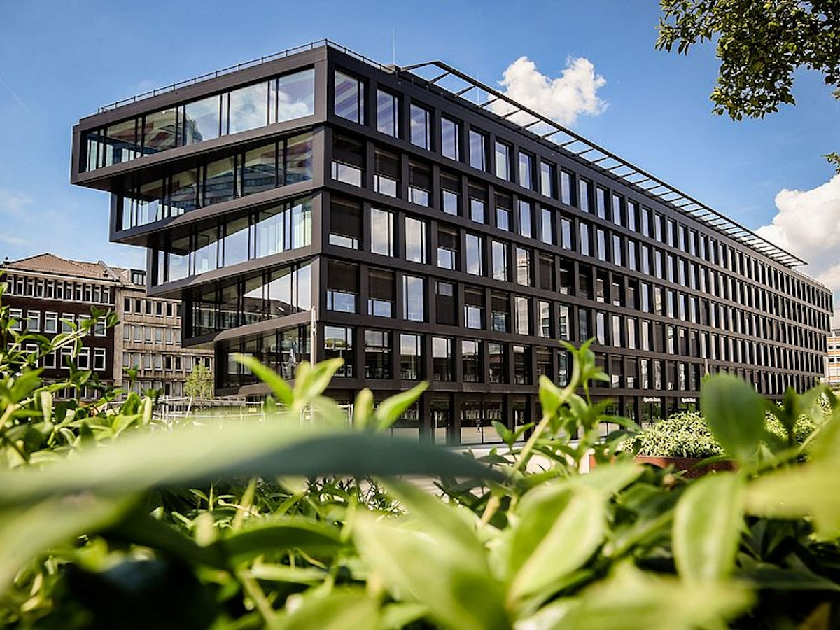 Modernes Bürogebäude mit großen Glasfenstern, fotografiert aus einem niedrigen Blickwinkel hinter grünen Blattpflanzen, unter blauem Himmel mit vereinzelten Wolken.